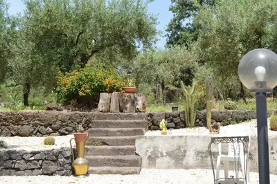 Giardino di Zest House