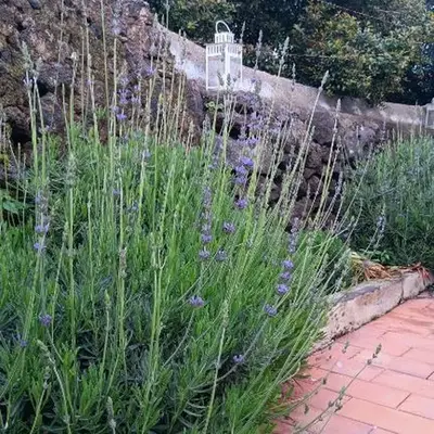 La Casa di Betta