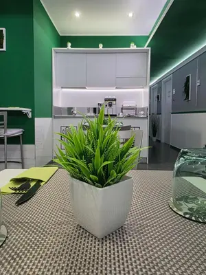 Cucina o angolo cottura di Luca's Garden B&B in Catania