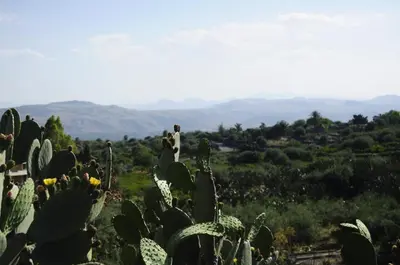 Paesaggio naturale nelle vicinanze della villa