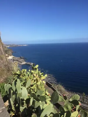 Paesaggio naturale nelle vicinanze dell'appartamento