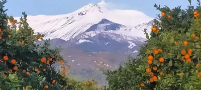 Vista generica sulle montagne o vista sulle montagne dall'interno della villa