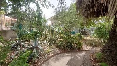 Giardino di Villa Rosa delle rose