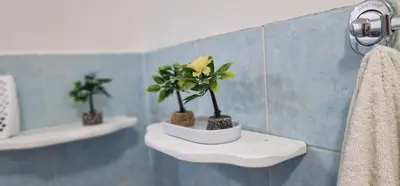 Bagno di La casa di Iside