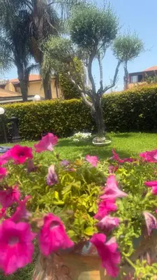 Giardino di Villa Erika