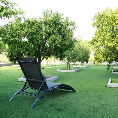 DOMUS ULIVI LUXURY ROOMS Moresca