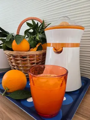 Cibo presso la villa o nelle vicinanze
