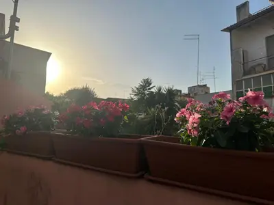 Giardino di House Fiorentino