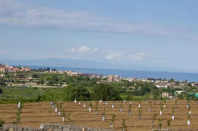 Paesaggio naturale nelle vicinanze del bed & breakfast