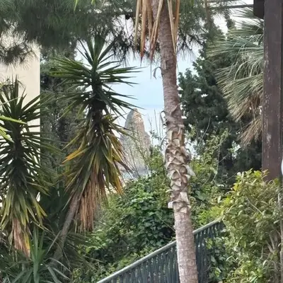 Terrace Garden Apartment