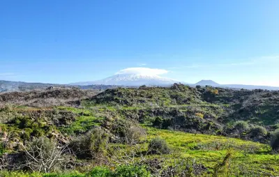 Paesaggio naturale nelle vicinanze dell'appartamento