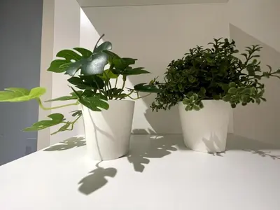 Planimetria di Encanto, casa vacanze