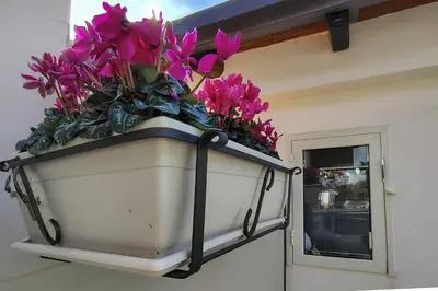 Planimetria di Ciauru ri Casa