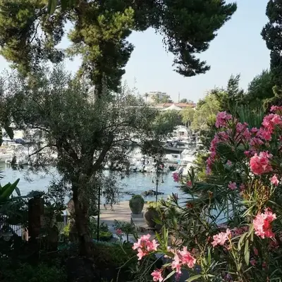 Lognina
