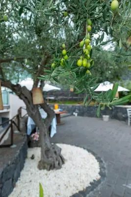 Giardino di Agata's House