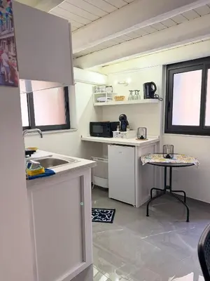 Cucina o angolo cottura di Holiday Home Stazione Catania Centrale