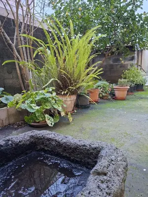 Giardino di Sciara casa vacanze