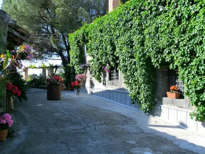 Giardino di Agriturismo Il Limoneto Acireale