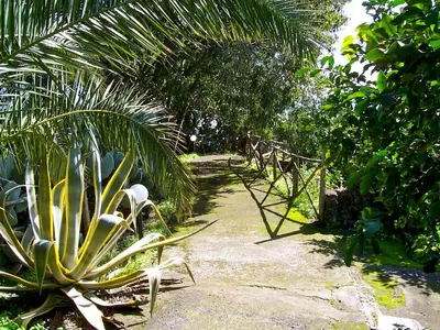 Giardino di Agriturismo Il Limoneto Acireale
