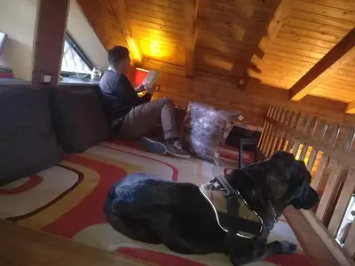 Ospiti di Etna Country Home con animali domestici