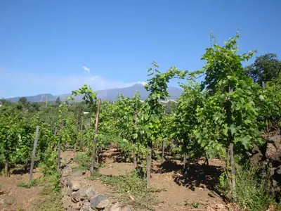 Paesaggio naturale nelle vicinanze della casa vacanze