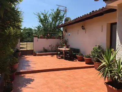 Giardino di The Bamboo House