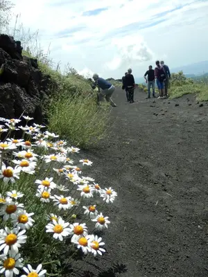 Paesaggio naturale nelle vicinanze dell'appartamento