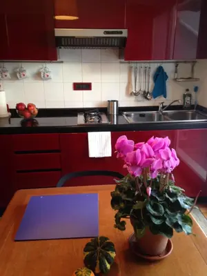 Cucina o angolo cottura di La casa di Teseo