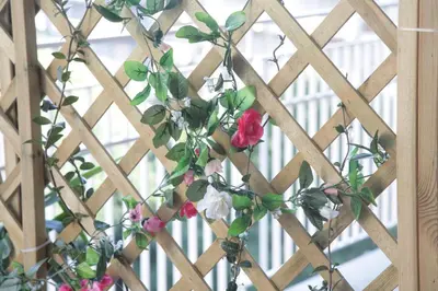 Giardino di Etna Sea House