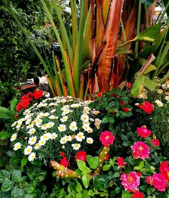 Giardino di La Foresteria Garden Boutique B&B