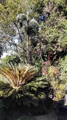 Giardino di Lucrezia Garden Catania