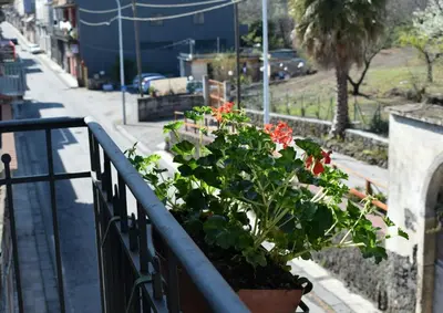 Giardino di B&B L' Aquila dell' Etna