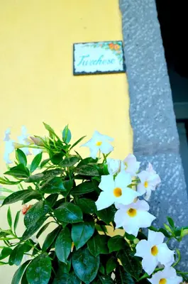 Planimetria di La Casa del Melograno