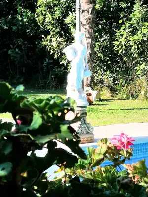 Giardino di Villa Rosyiano