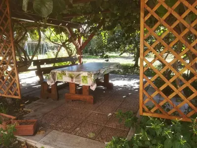 Giardino di Biologico Dell'Etna