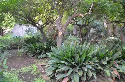 Giardino di Il Giardino di Caronda