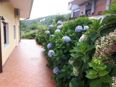 Giardino di La Casa Dei Colori