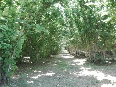 Paesaggio naturale nelle vicinanze dell'agriturismo