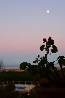 Paesaggio naturale nelle vicinanze del bed & breakfast