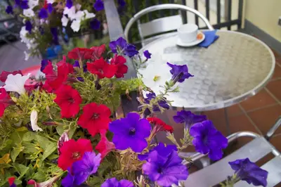 Planimetria di B&B Notti E Dintorni
