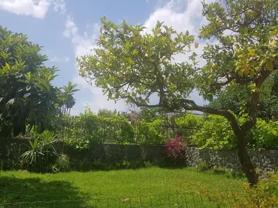 Giardino di Villa Muse Holiday oasi sul mare di CapoMulini, Acireale - Sicilia, Italy Locazione Turistica