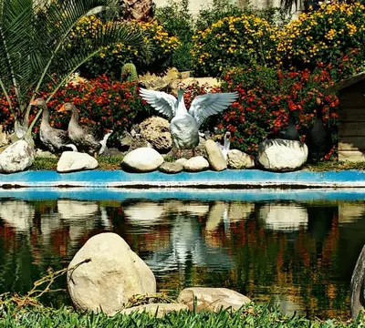 Paesaggio naturale nelle vicinanze of country house