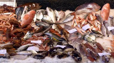 Cibo presso l'appartamento o nelle vicinanze