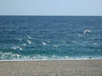 Paesaggio naturale nelle vicinanze dell'appartamento