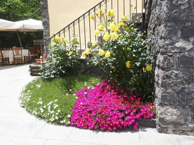 Giardino di Ai Vecchi Crateri
