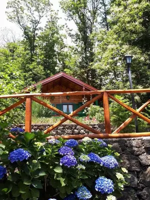 Giardino di CHALET ETNA MILO