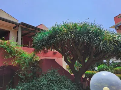 Giardino di Casa sulla spiaggia di Santa Tecla