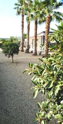 Giardino di Holiday Homes Borgo Papardo