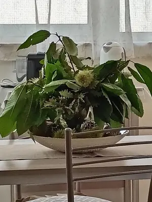 Planimetria di La Petite Maison
