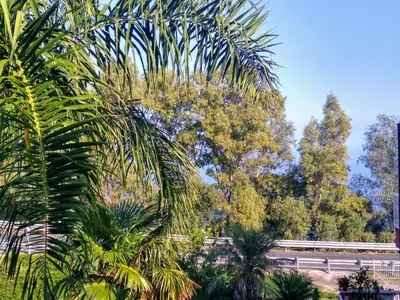 Paesaggio naturale nelle vicinanze della stanza in casa privata